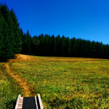 Miller Woods Conservation Area