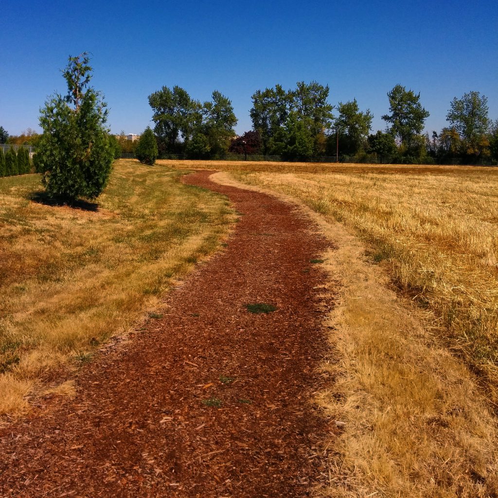 Linfield Wellness Trail