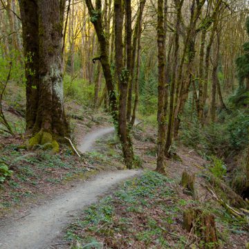 Marquam Trail