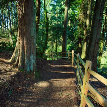 Mary Young State Park