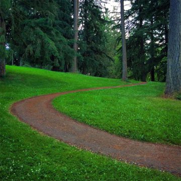 Molalla River State Park