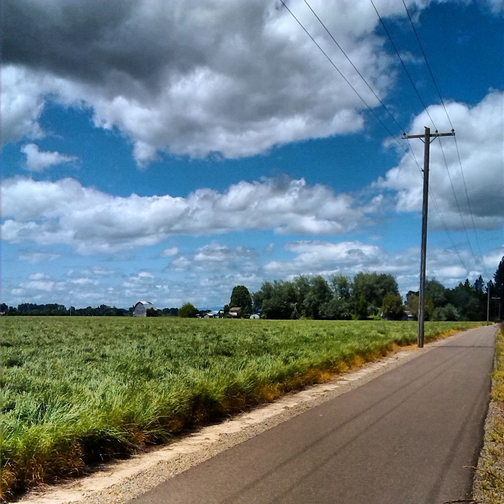 Monmouth to Rickreall Path • Monmouth • Oregon Runs