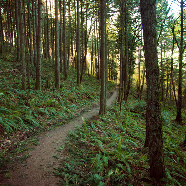 Mount Talbert Nature Park