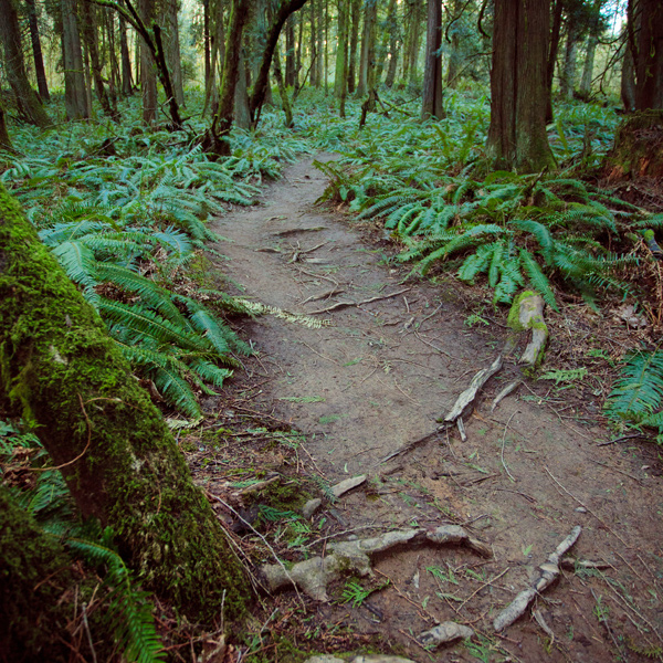 Mount Talbert Nature Park