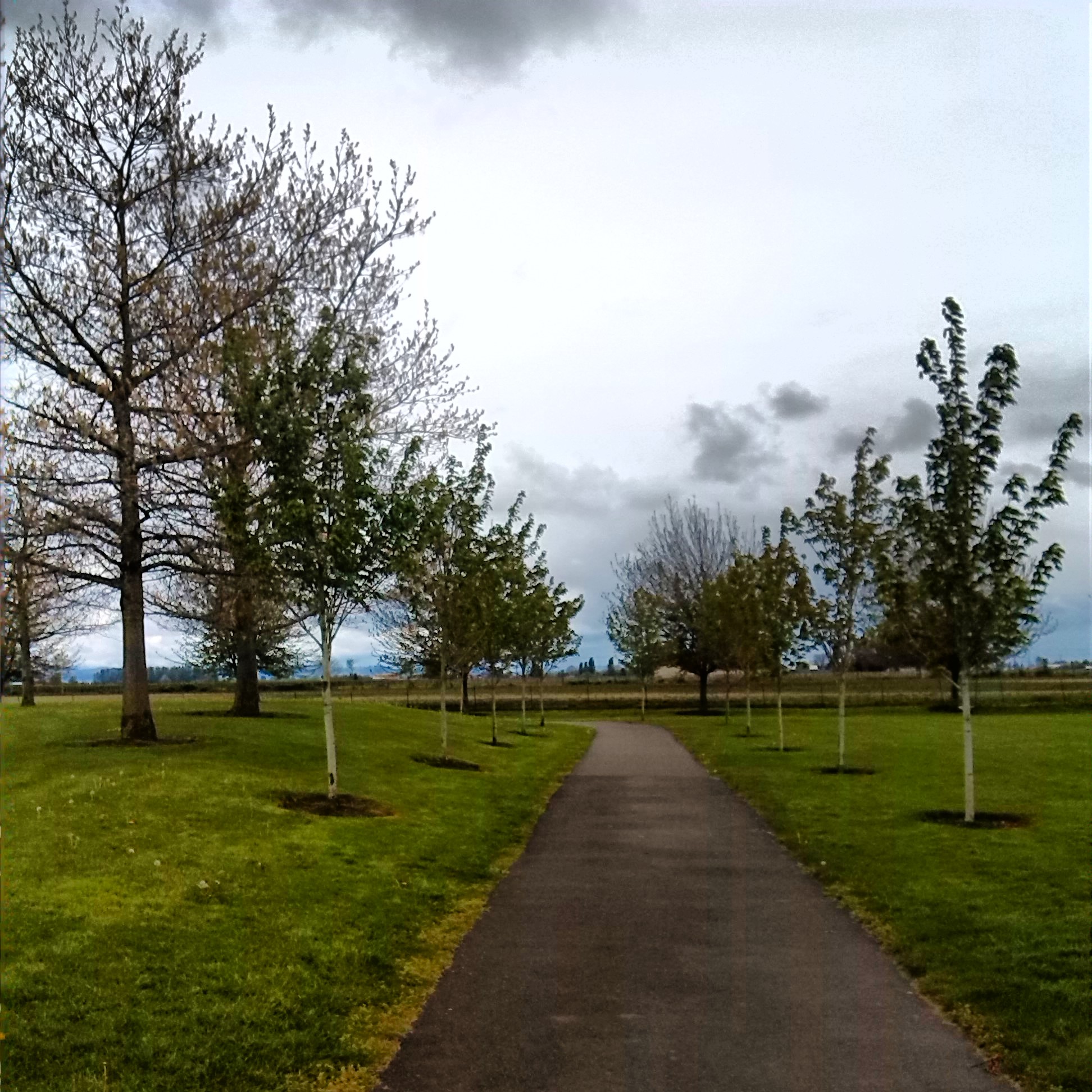 Centennial Park • Woodburn • Oregon Runs