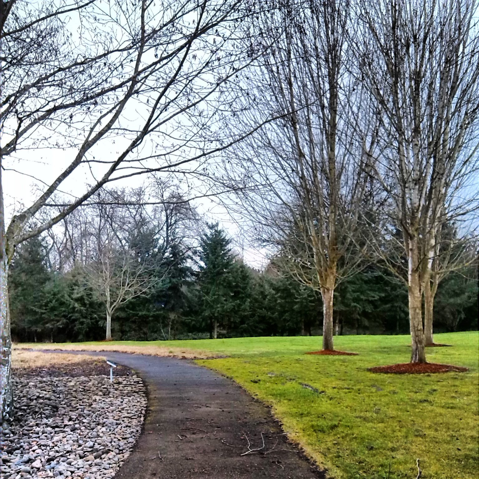 Molalla River State Park • Canby • Oregon Runs