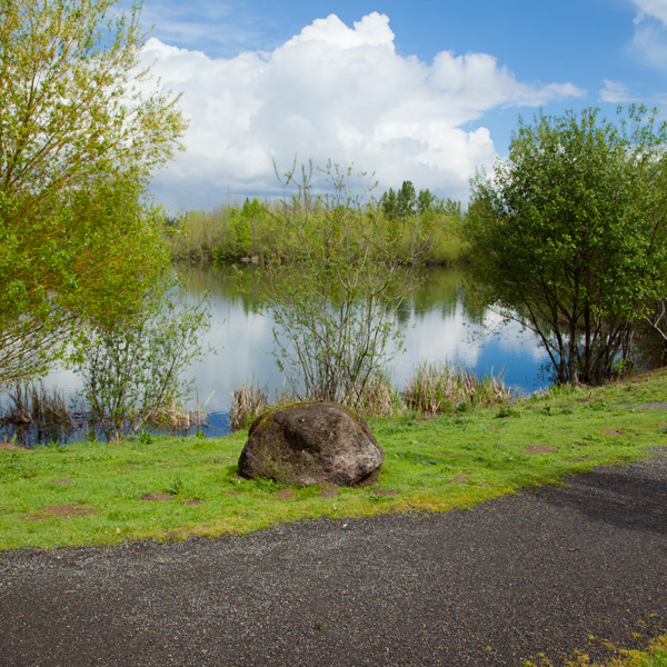 Salish Ponds