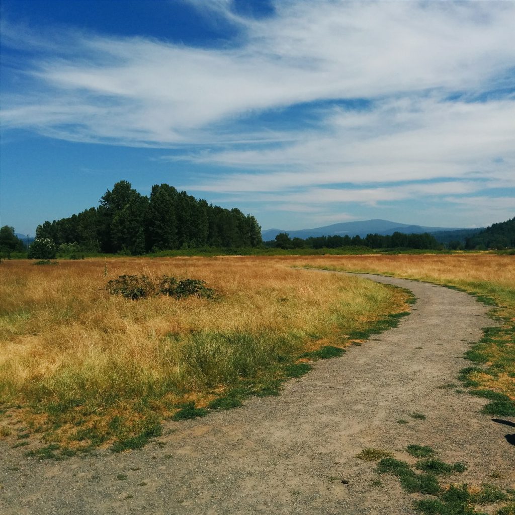 Sandy River Delta