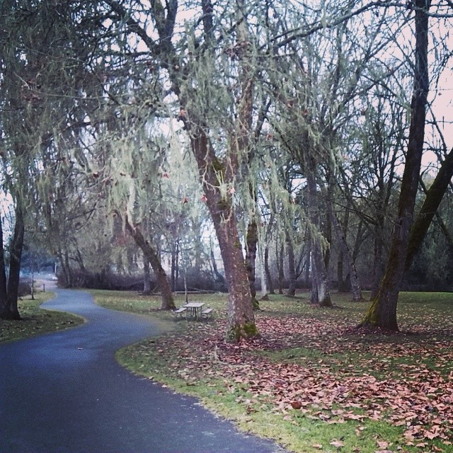 Willamette Park