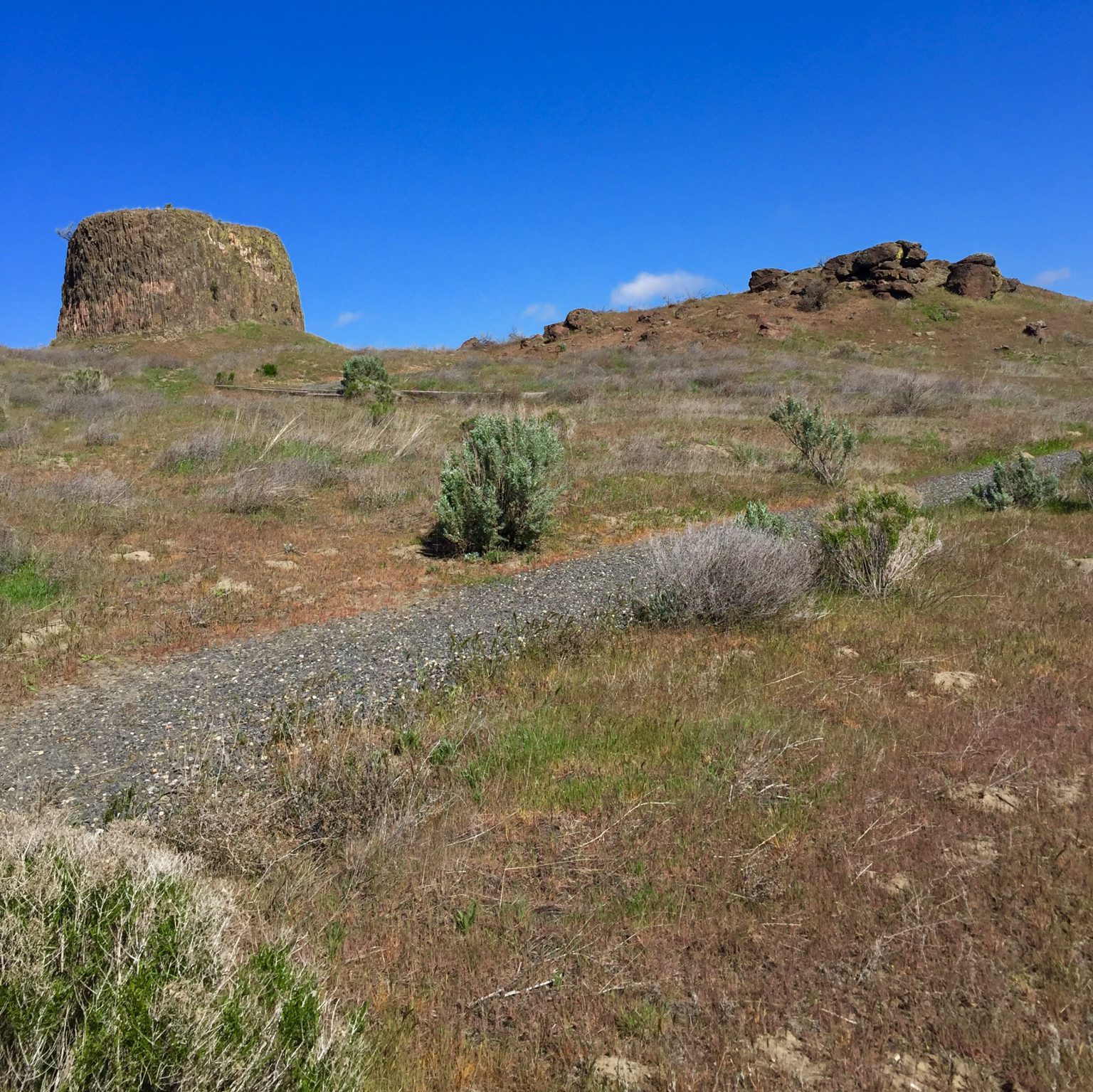Oxbow Trail • Hermiston • Oregon Runs