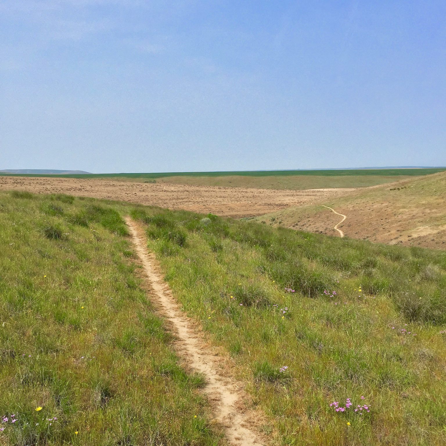 Echo Trails • Echo • Oregon Runs