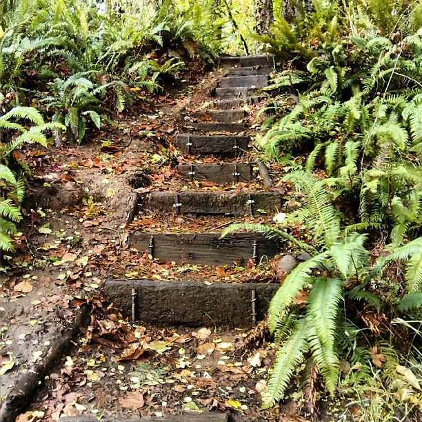 Keizer Rapids Park