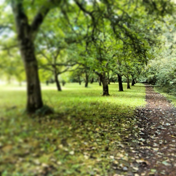 Willamette Mission State Park