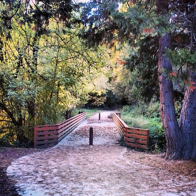 Willamette River Trail