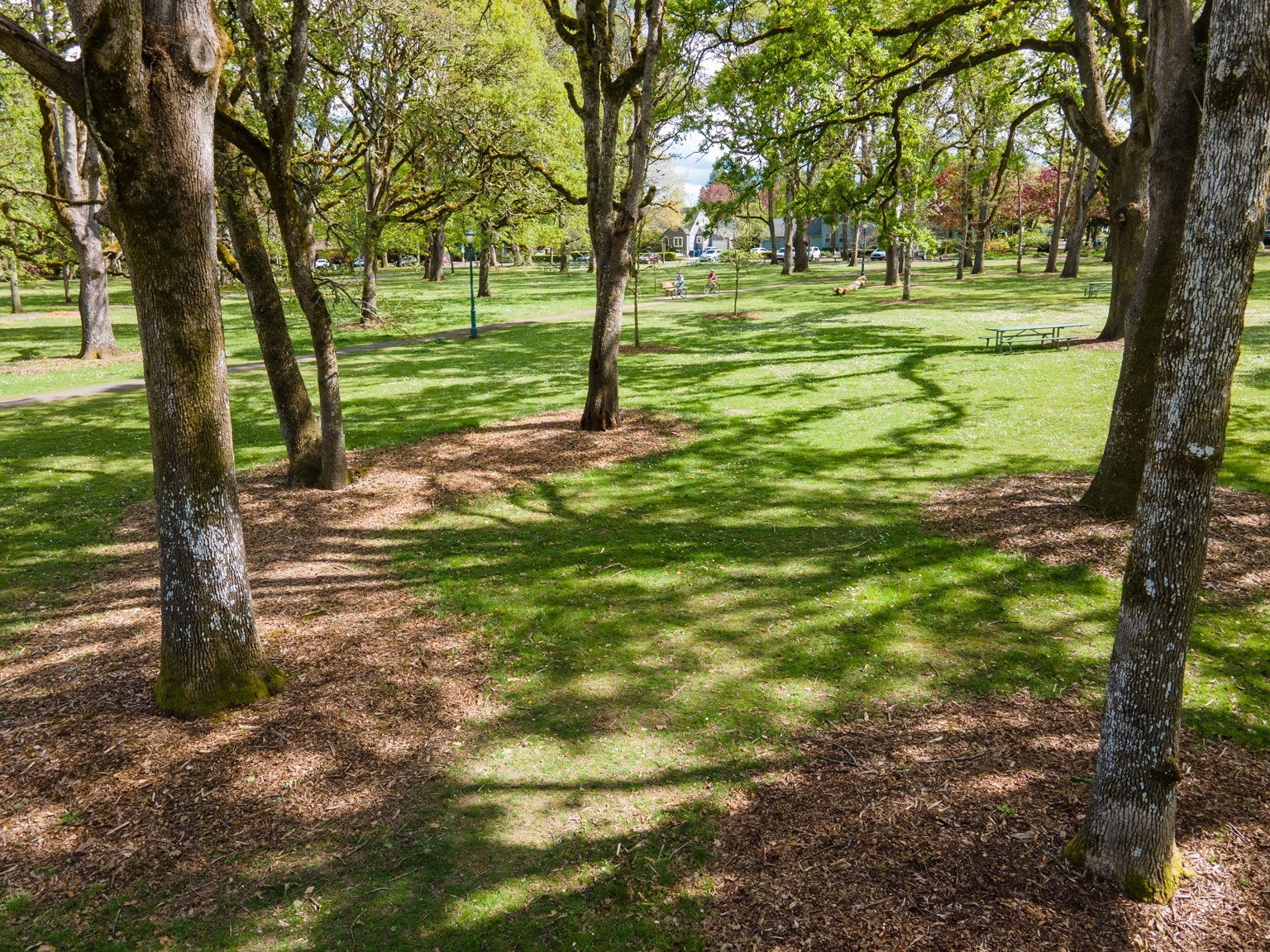 bush-park-salem-oregon-runs