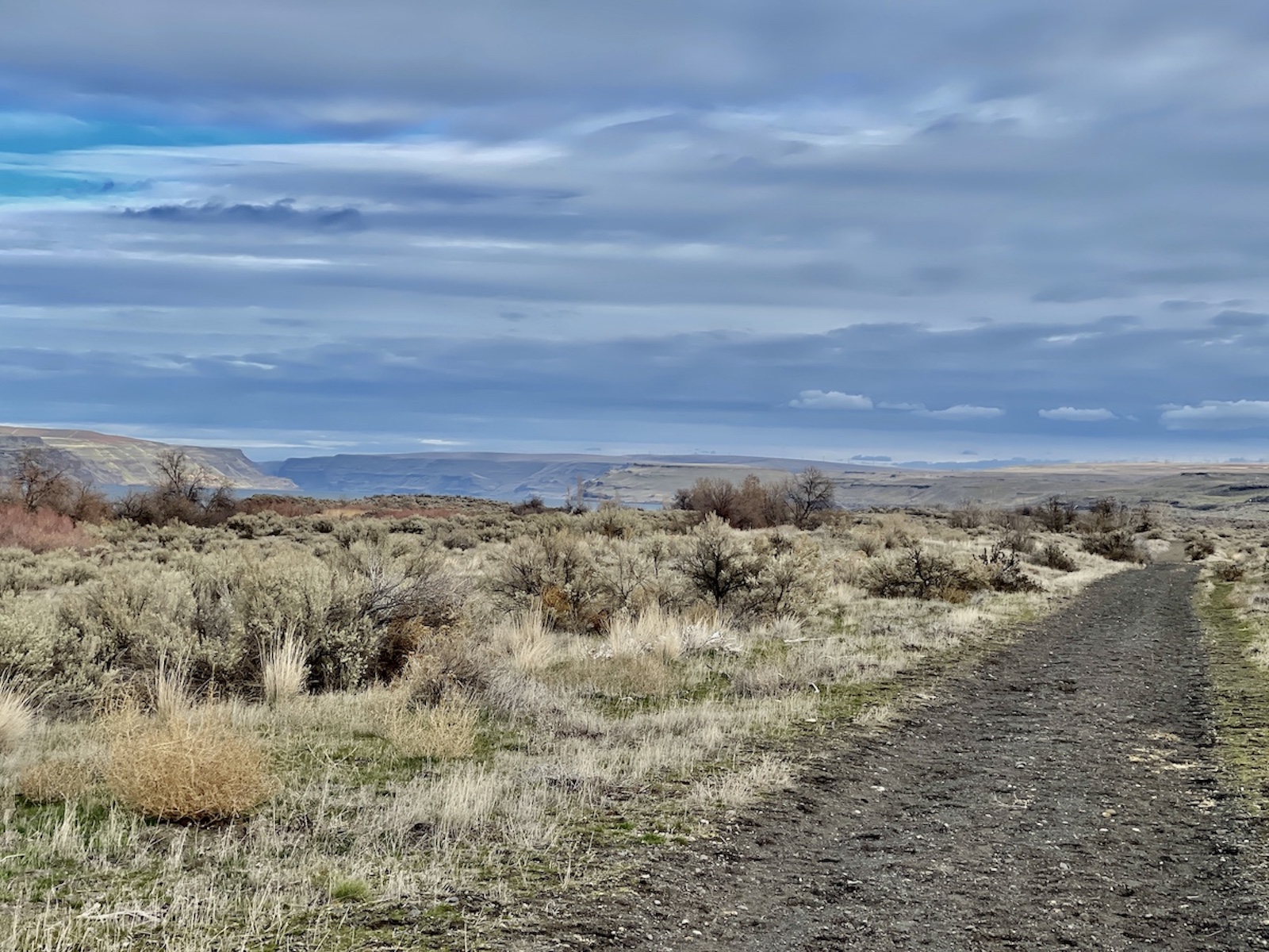 Warehouse Beach • Umatilla • Oregon Runs